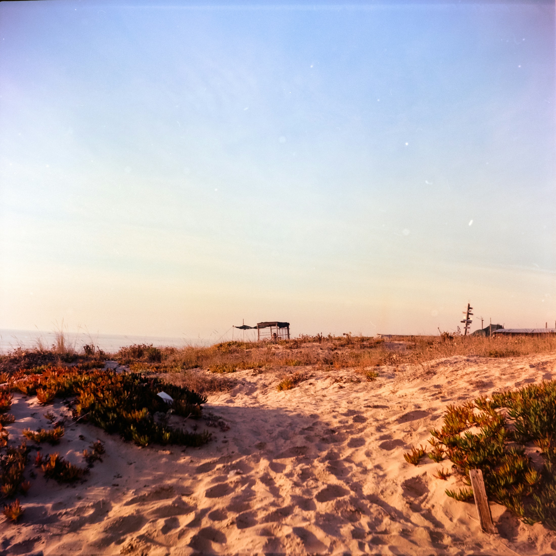 Les dunes de Costa da Caparica au soleil, photographiées sur pellicule par Manuel Palmeira